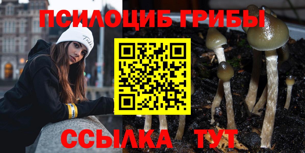 Скопин  Псилоцибиновые грибы GOLDEN TEACHER  Вход с VPN  Псилоцибиновые грибы Psilocybine cubensis 